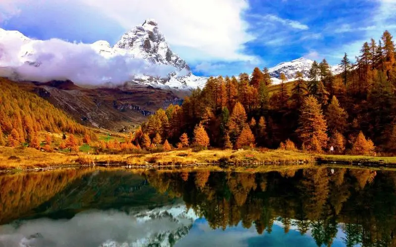信息化稳定性智慧工厂